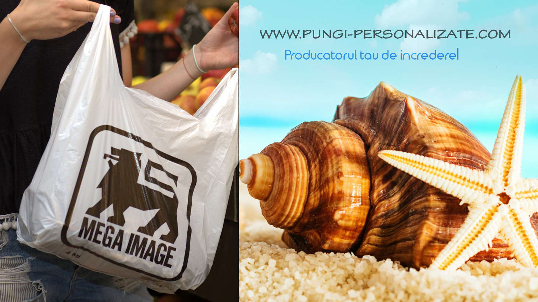 pungi-personalizate.2